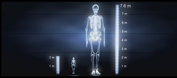 The Great Smithsonian Cover-Up: 18 Giant Skeletons Discovered in Wisconsin 22