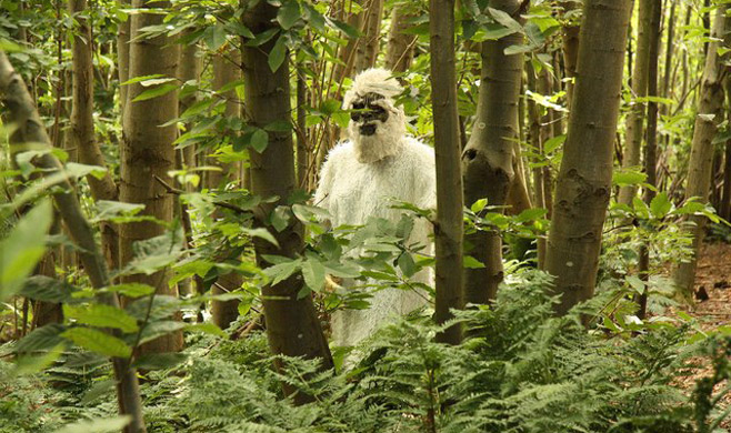 Has the Yeti Come to the Moscow Region? 11