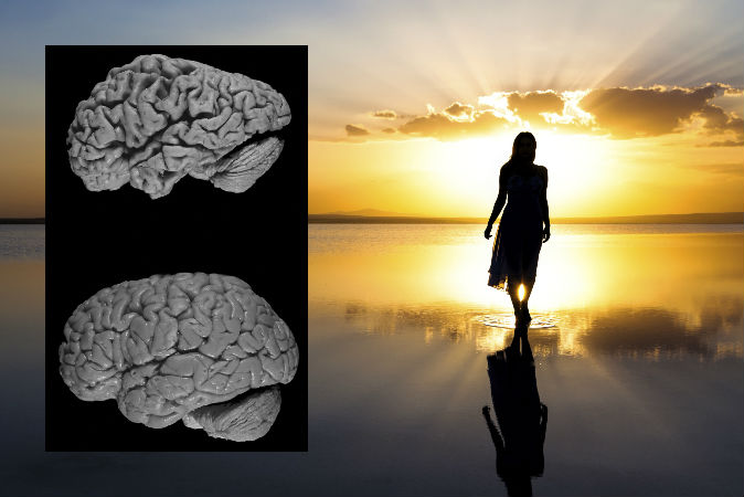 Do Alzheimer’s, Dementia Prove the Soul Doesn’t Exist? 43