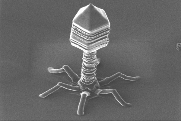 NO MATTER WHAT the story, DO NOT get vaccinated, a new bioweapon is being distributed via vaccines 22