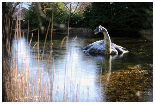 London museum planned to 'shoot and steal Nessie' 25