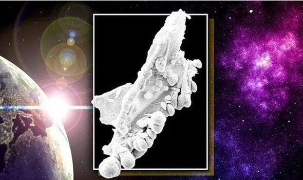 The incredible picture that 'PROVES' there is life on other planets 20