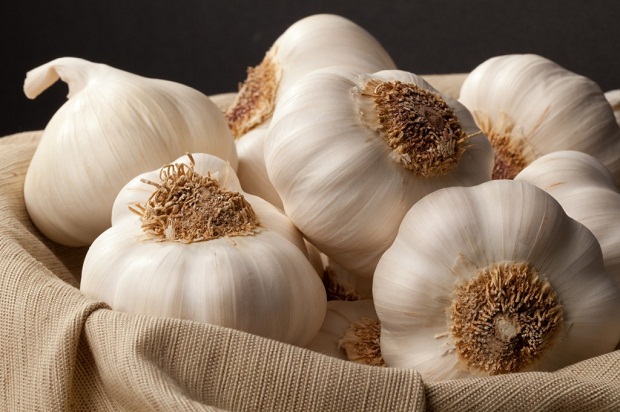 Garlic Soup – 100x Stronger Than The Best Antibiotics On The Market 3