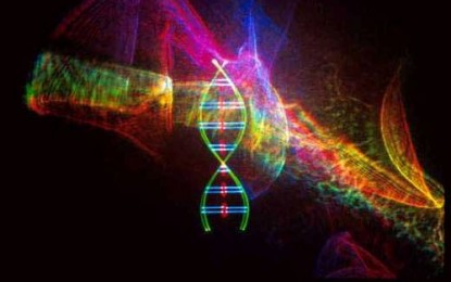 Diary of a DNA Potentiator: The DNA “Hack-tivation” Saga Continues 18