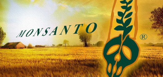 POLL: Monsanto Third Most Hated Company In the World 23