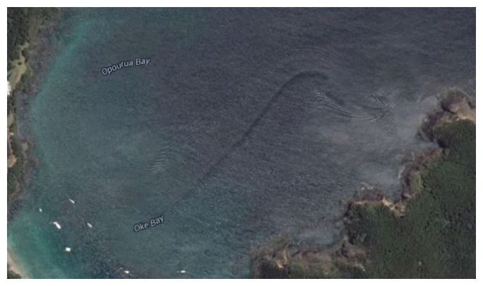 Mystery sea creature on Google Earth: Unexplained discovery in New Zealand's waters 47