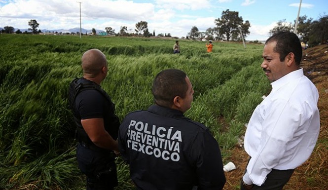 Mexico 'crop circles' appear overnight on Christmas eve following local reports of 'bright lights' 13