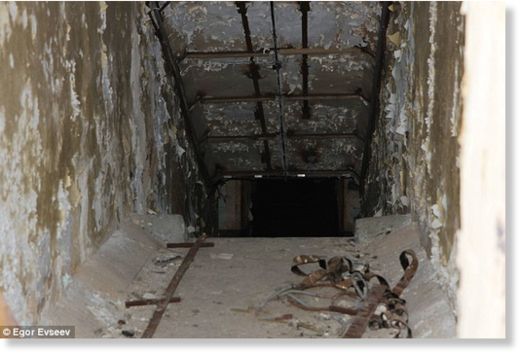 The mystery of UVB-76: Radio station has 'buzzed' every second since the 1970s - but no one knows why 17