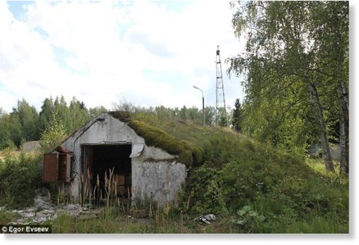 The mystery of UVB-76: Radio station has 'buzzed' every second since the 1970s - but no one knows why 18