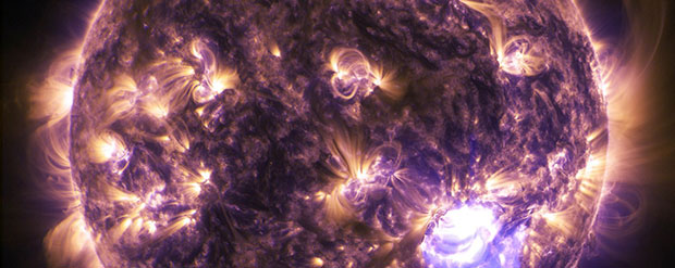 Are there forms of life that feast on stars ? 22