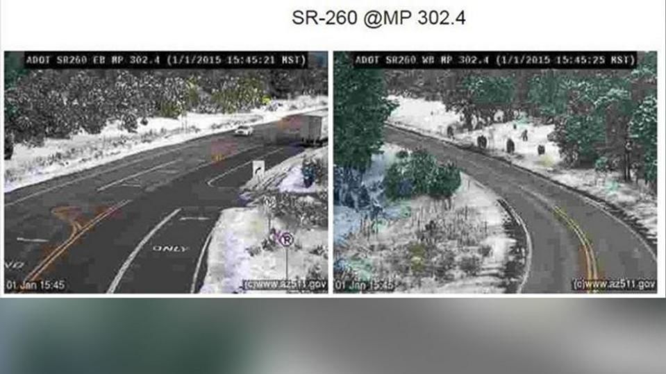'Mysterious beasts' spotted by Arizona highway cameras 19