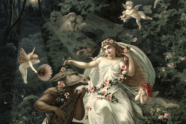 Return of the fairy-hunters 9
