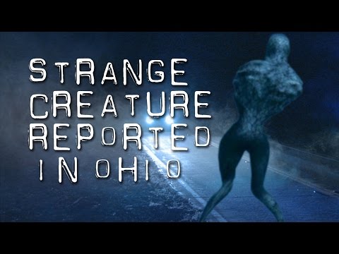 Strange gray creature seen in Ohio 3
