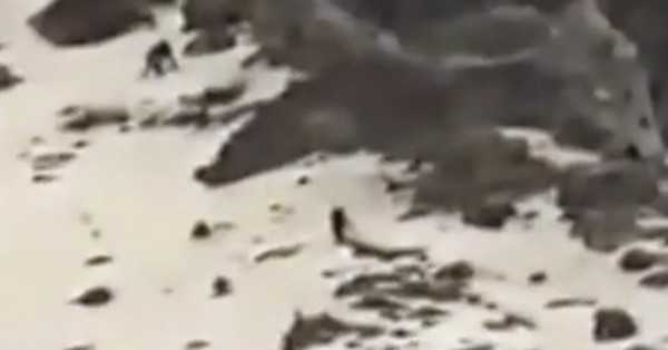 Giant Beings Seen Rapidly Climbing Mexican Volcano 19