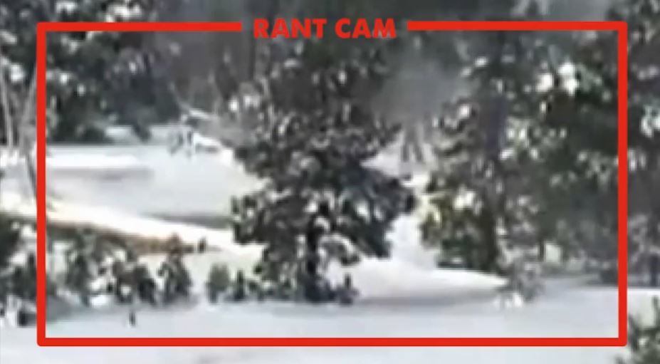 Bigfoot vs Buffalo: 4 big furry somethings caught on webcam in Yellowstone 5