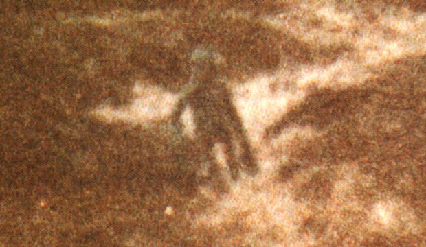 The 1987 Ilkley Moor Alien Photograph 39