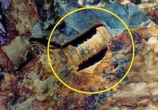 A 300 Million Year Old Screw? Researchers Baffled 3