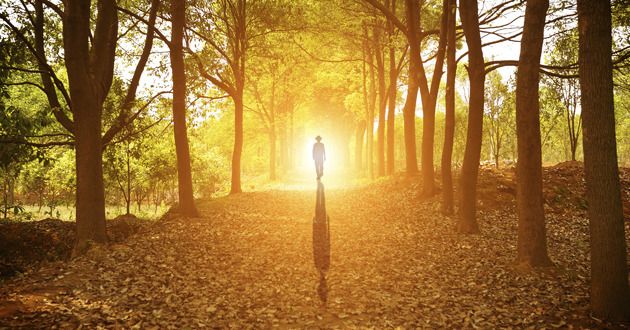 These are the 7 most common near-death experiences – by people who died 15