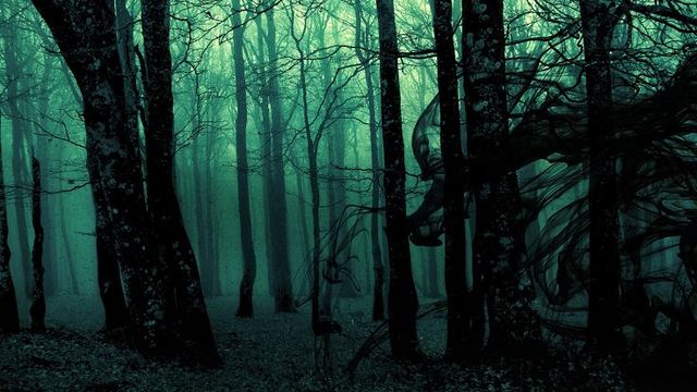 The World's 7 Most Haunted Forests Will Make You Never Try Camping Again 39