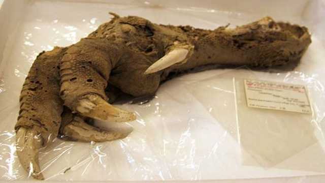 What These Archaeologists Found All Over The World Is Deeply Disturbing. And Yes, It’s Real. 34