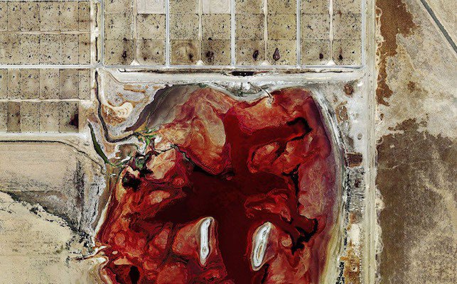 Disturbing Aerial Photos Show What Killing Billions Of Animals For Meat Is Doing To The Environment 1
