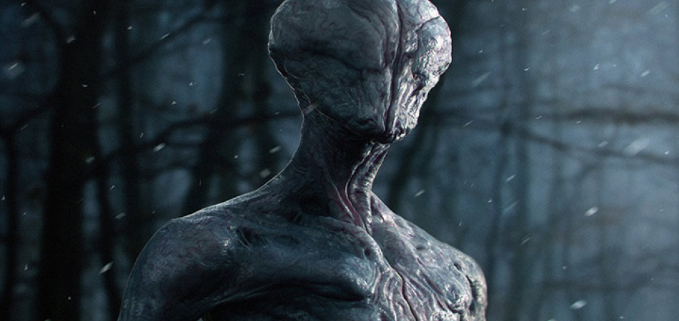 82 Alien Species Are In Contact With Earth 5