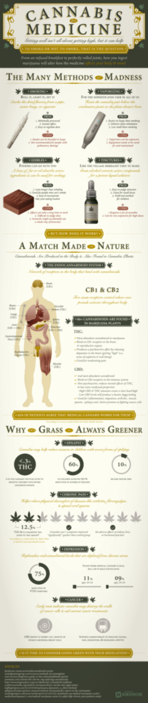 This Is How Cannabis Affects Your Body – Depending On How It’s Ingested [Infographic] 4
