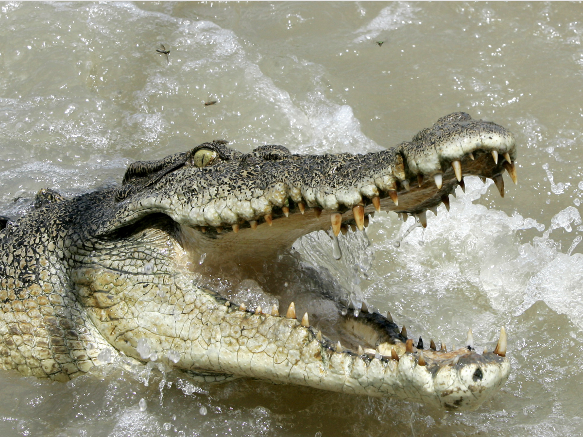 Rob Griffith/AP