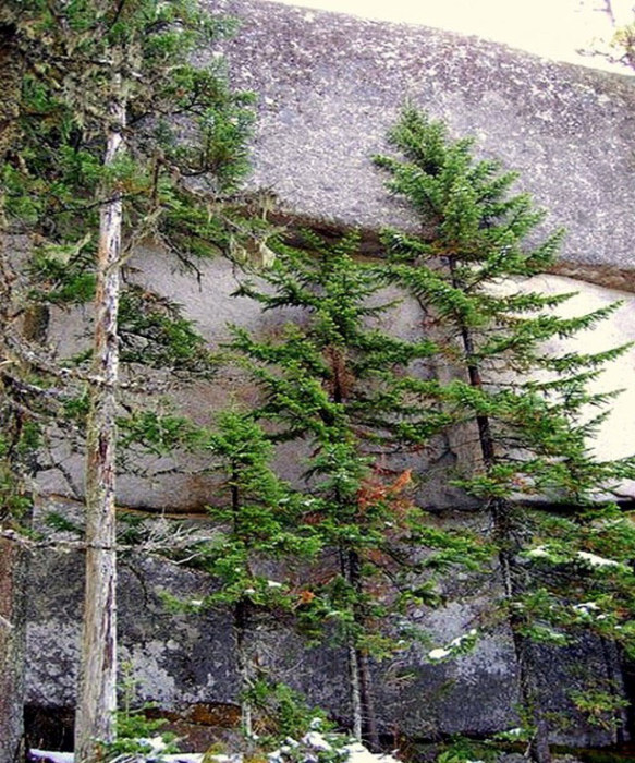 I never knew that Russia has these SHOCKING ANCIENT MEGALITHS 124