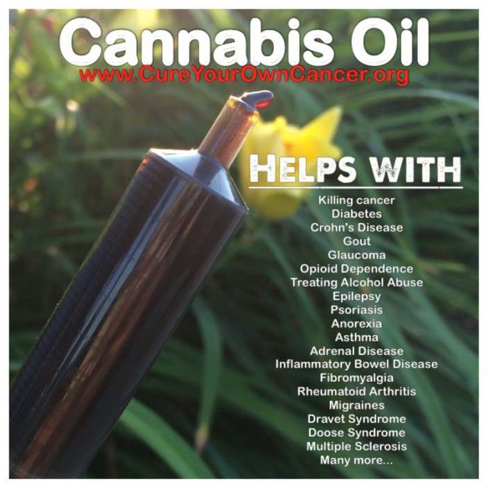 cannabis oil