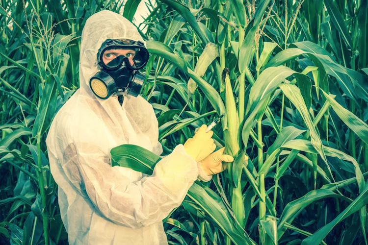 Newsweek Hit Piece Calling Organic Food a 'Scam' Authored by Known Monsanto Propagandist 23