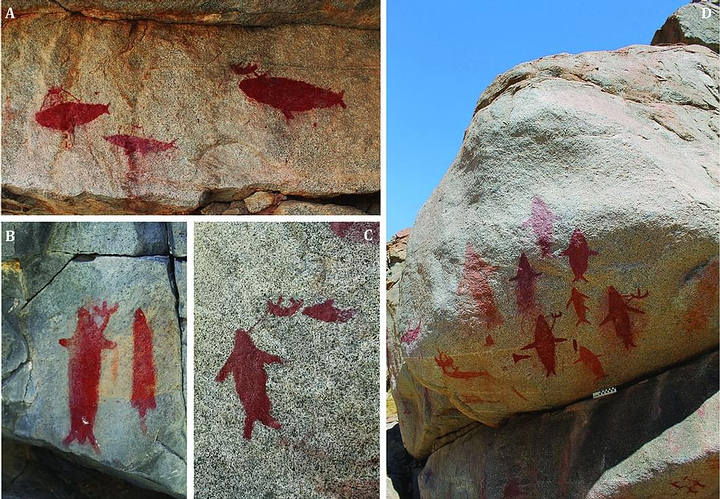 Scientists discover ancient rock art with paintings of whales and sharks in the desert 25