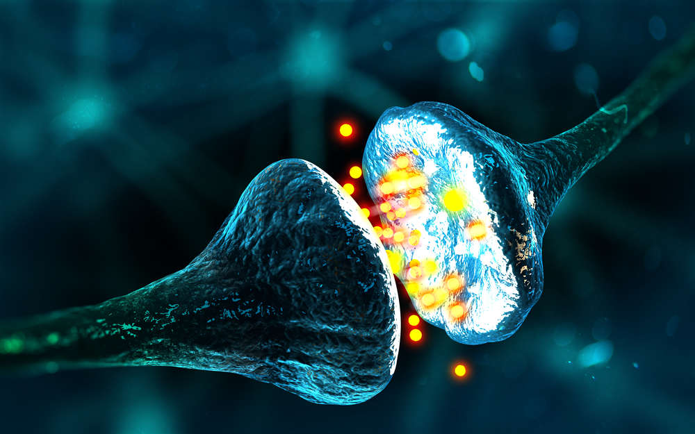 Memories in the Human Brain Could Soon be Manipulated by Scientists 23