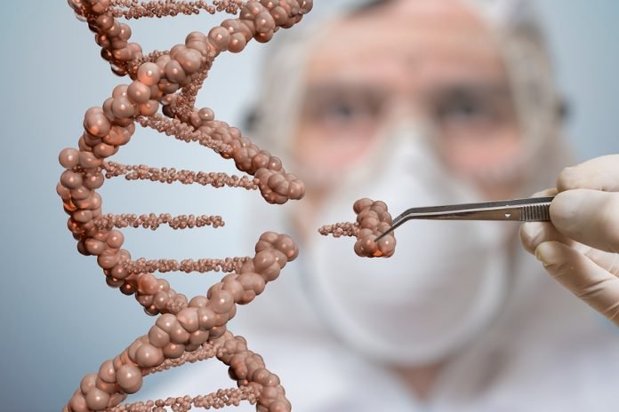 Research Exposes New Health Risks of Genetically Modified Mosquitoes & Salmon 3