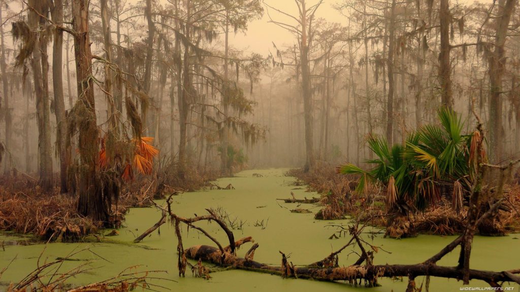 Manchac -The Ghost Swamp of New Orleans 1