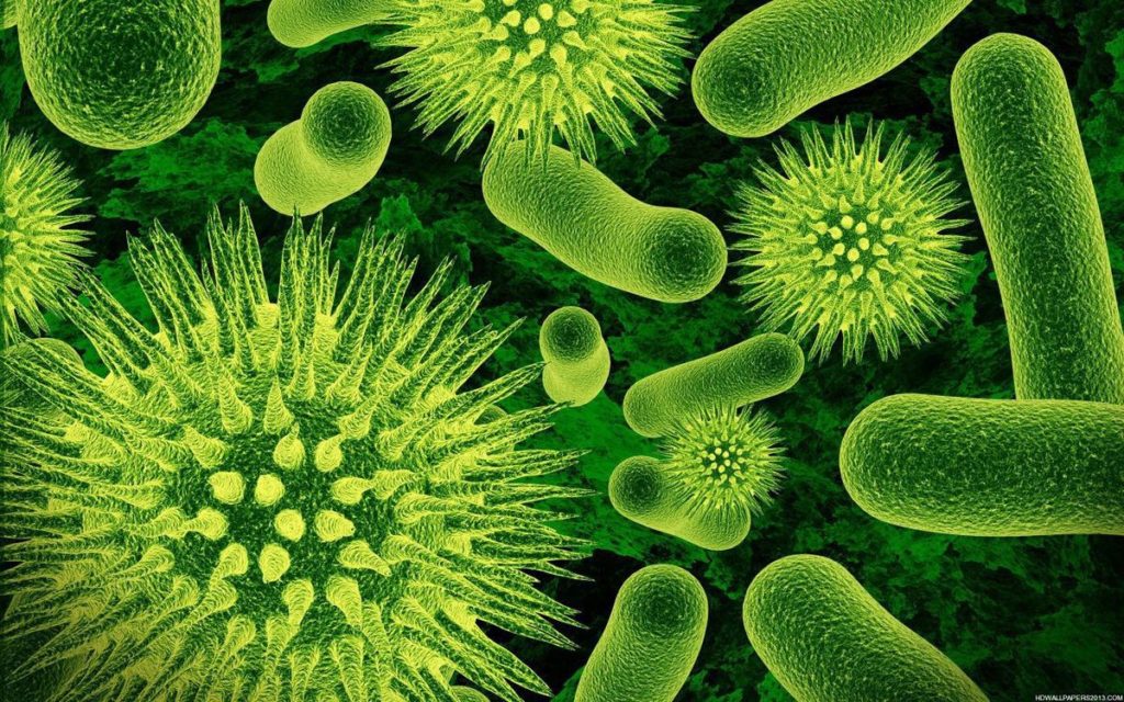 Human Consciousness A Result of An Ancient Virus, Say Searches 13
