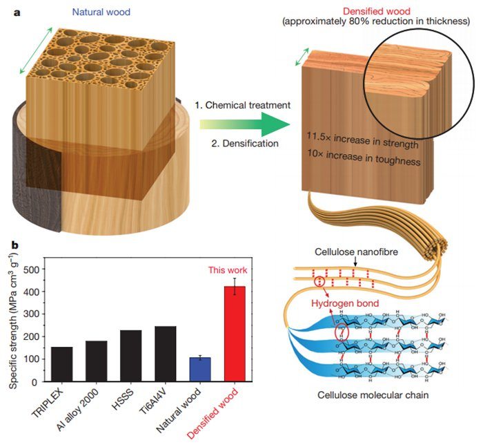 Scientists Have Developed a Way to Make Wood as Strong as Steel 1