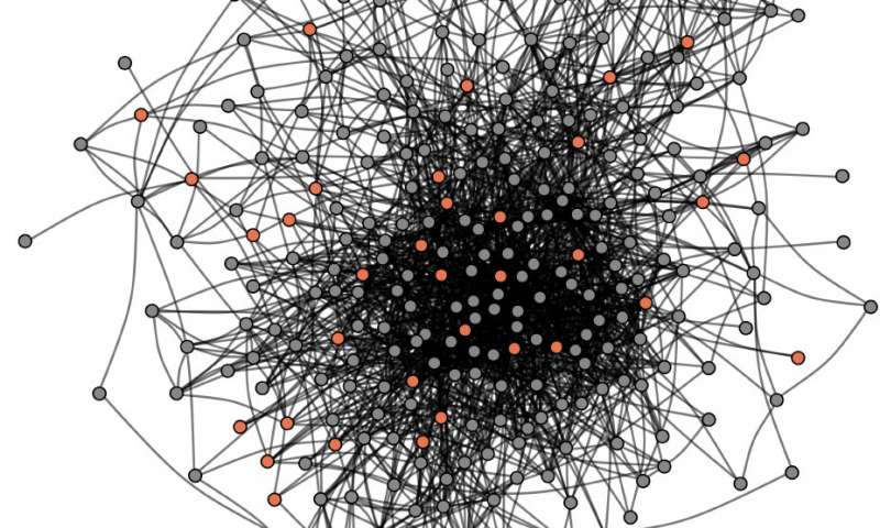 Social network. The social network of an entire cohort of first-year graduate students was reconstructed based on a survey completed by all students in the cohort (N = 279; 100% response rate). Nodes indicate students; lines indicate mutually reported social ties between them. A subset of students (orange circles; N = 42) participated in the fMRI study. Credit: Carolyn Parkinson.