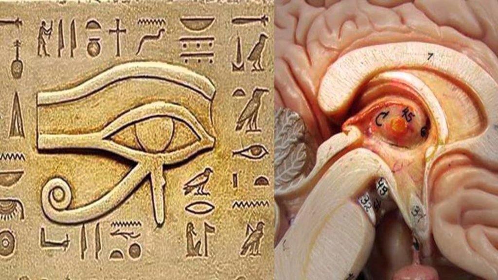 One Of The Biggest Secrets Kept From Humanity 15