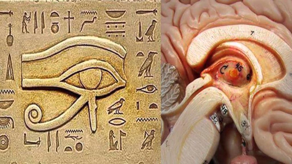 One Of The Biggest Secrets Kept From Humanity 19