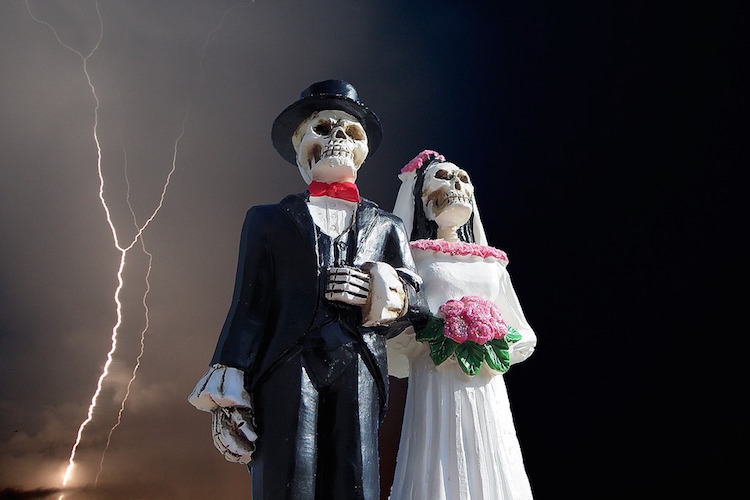 Monsanto and Bayer Tie the Knot – Don’t Miss the Most Satanic Wedding of the Year 1