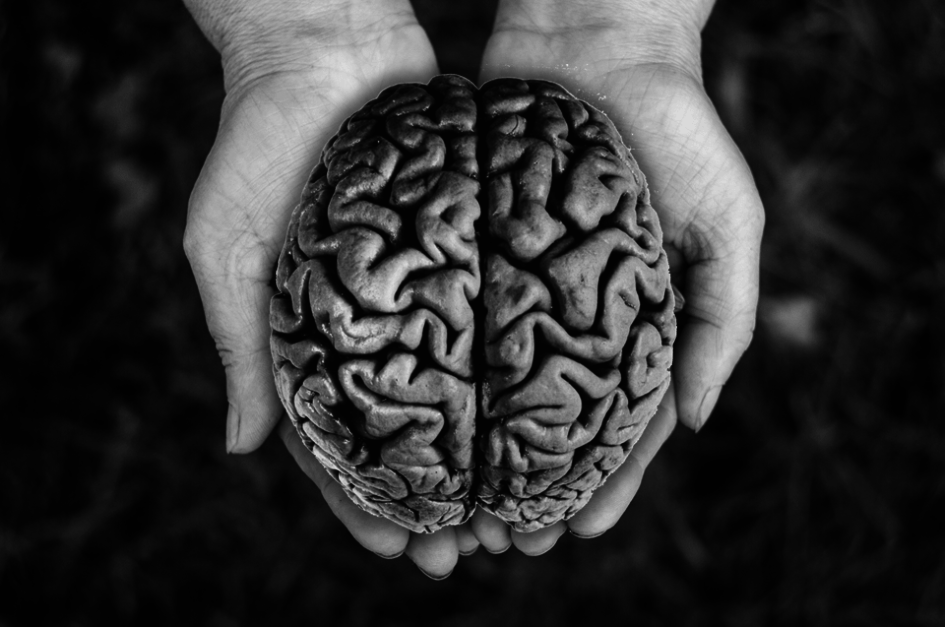 Are the Left & Right Brain Independently Conscious? 19