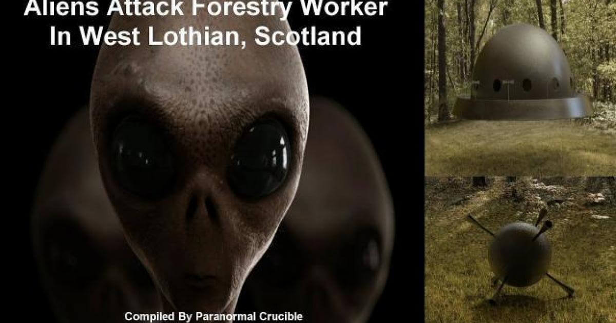 Forestry Worker Attacked By Aliens In Scotland 13