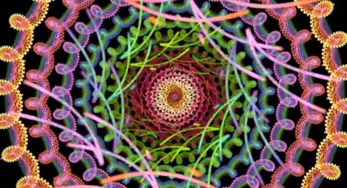 What Do the Blind ‘See’ When They Take LSD? 21