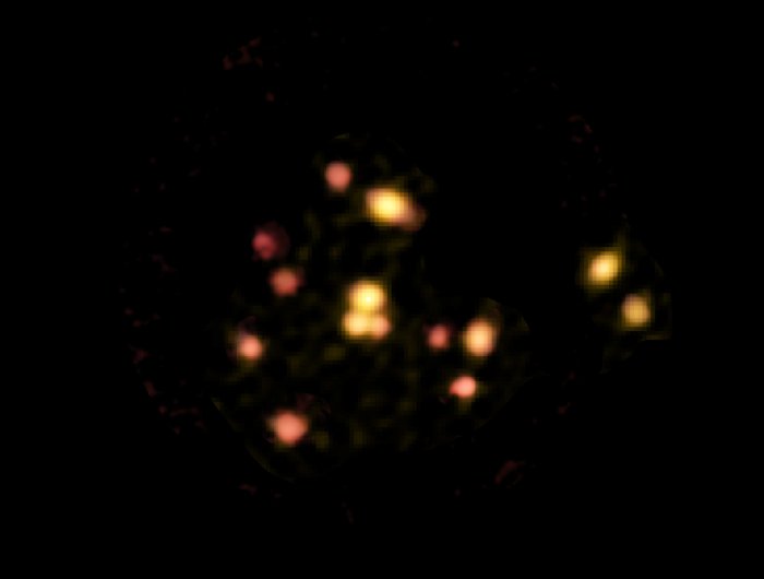 All 14 galaxies in SPT2349-56, imaged by ALMA. (ALMA (ESO/NAOJ/NRAO); B. Saxton (NRAO/AUI/NSF))