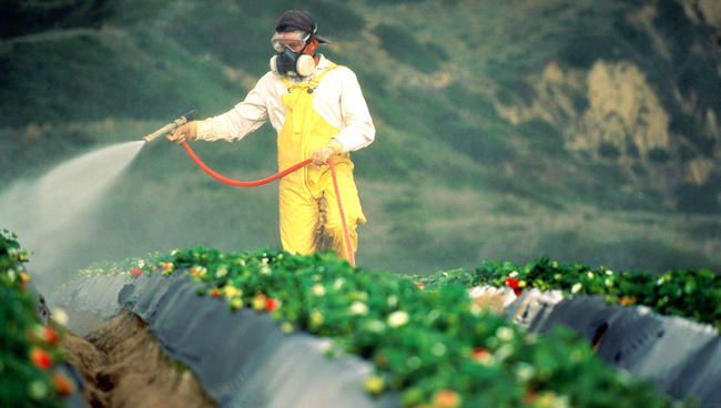 Newsweek Hit Piece Calling Organic Food a 'Scam' Authored by Known Monsanto Propagandist 20