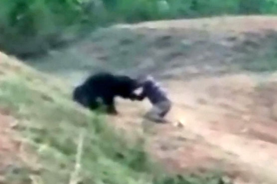 Indian man ‘trying to take selfie with bear’ mauled to death 1