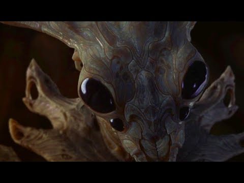 UFO lands in Utica NY, Witness Claims e saw Insectoid Aliens 27