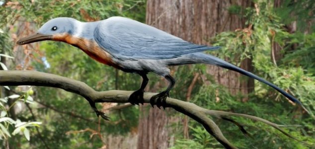 Dinosaur asteroid wiped out most bird species 61
