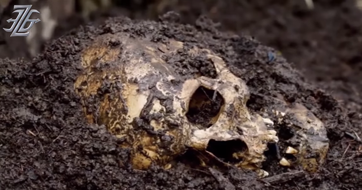 New Forbidden Archaeology Documentary on Discovery of Ancient Real Giants 15